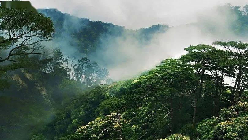 诡秘游戏