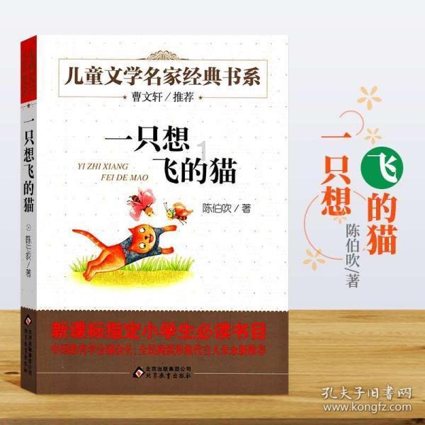 轻松问答,尽在没有教师资格证可以支教吗,有工资吗蜗牛问答平台
